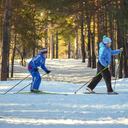 11 Lugares para caminar con raquetas de nieve en New Hampshire