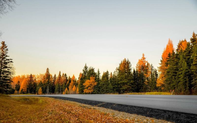 12 Lugares para ver los Colores del Otoño en Utah