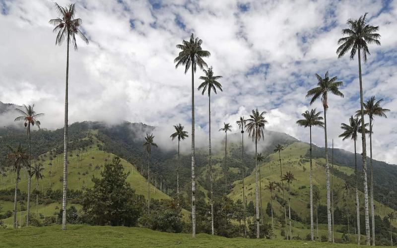 7 Magníficas Actividades para Hacer en Colombia