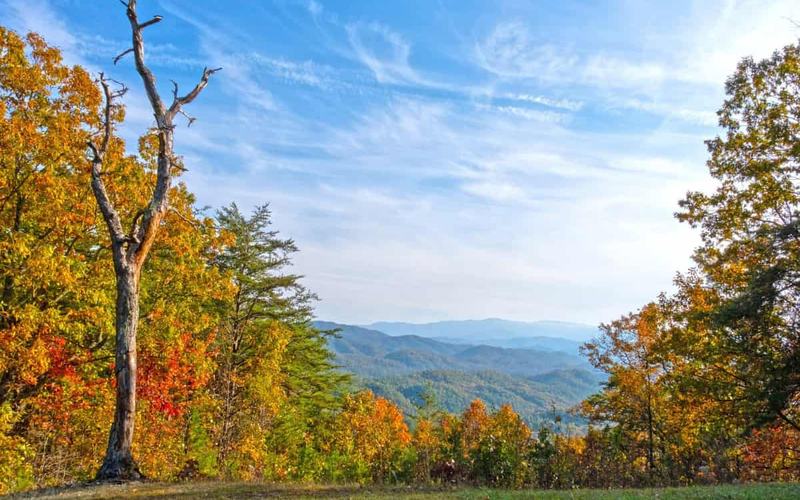 12 Mejores Lugares para VER los Colores de Otoño en Tennessee