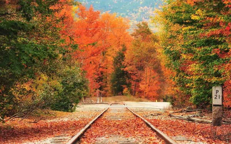 9 Mejores Lugares para Ver los Colores de Otoño en New Hampshire