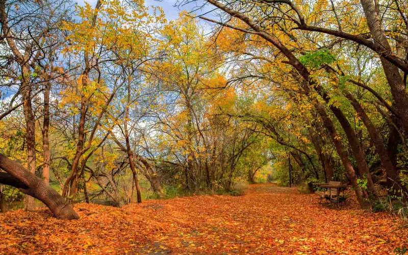 6 Mejores Lugares para Ver los Colores de otoño en Texas
