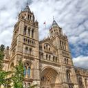 7 Mejores cosas para ver en el Museo de Historia Natural de Londres
