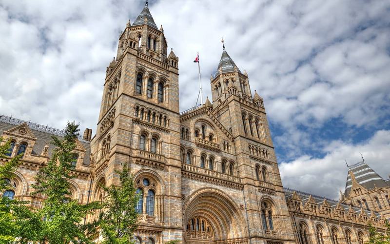 7 Mejores cosas para ver en el Museo de Historia Natural de Londres