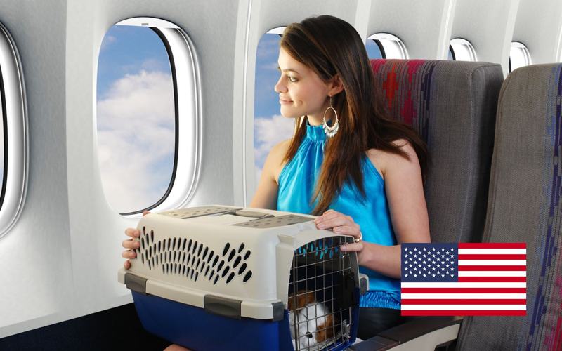 Nuevos requisitos para viajar a EE.UU con Mascotas: Todo lo que necesitas saber
