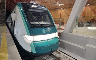 Tren Maya: Guía Completa