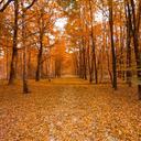 7 Planes de otoño en Alabama para toda la familia