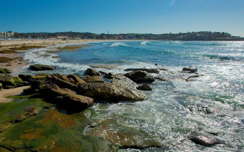Playas de Sydney: 15 Destinos Imperdibles