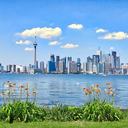 Mejores Playas de Toronto para nadar, pasear y ver el atardecer