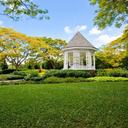 Razones para visitar los hermosos jardines botánicos de Singapur