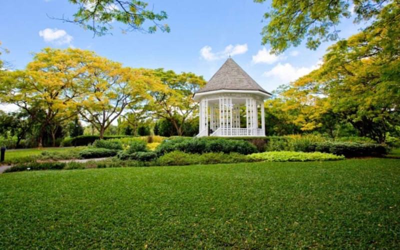 Razones para visitar los hermosos jardines botánicos de Singapur