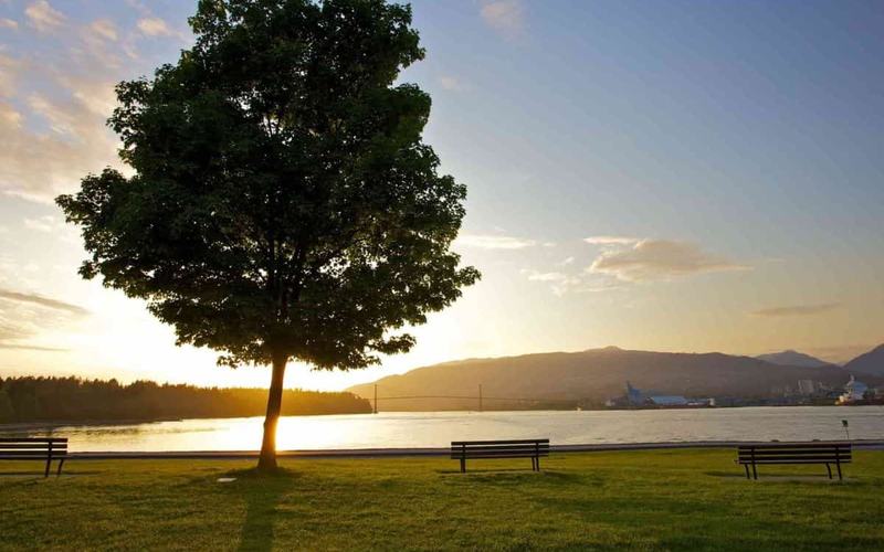 14 Principales atracciones turísticas de Stanley Park