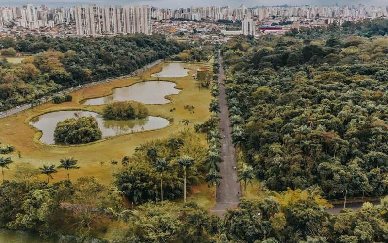 14 Principales atracciones turísticas de Central Park de Nueva York