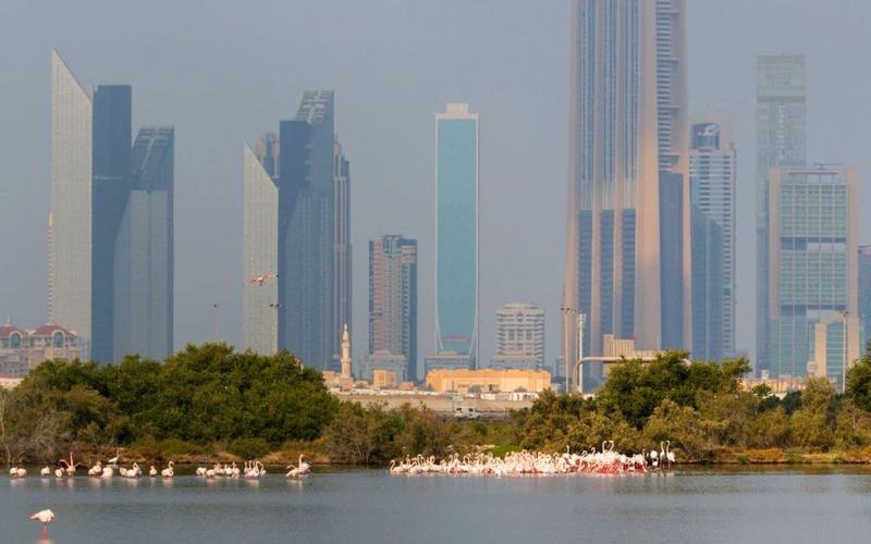 Pueblos y Ciudades de Qatar que Debes Conocer