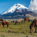 Razones para visitar el parque nacional Cotopaxi en Ecuador