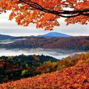 10 Recomendadas actividades de otoño en Vermont: Una experiencia imperdible