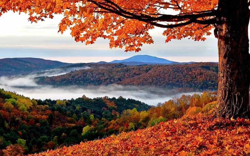 10 Recomendadas actividades de otoño en Vermont: Una experiencia imperdible