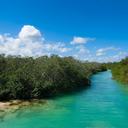 Reserva de la Biosfera de Sian Ka’an ¡Explora sus maravillas naturales!