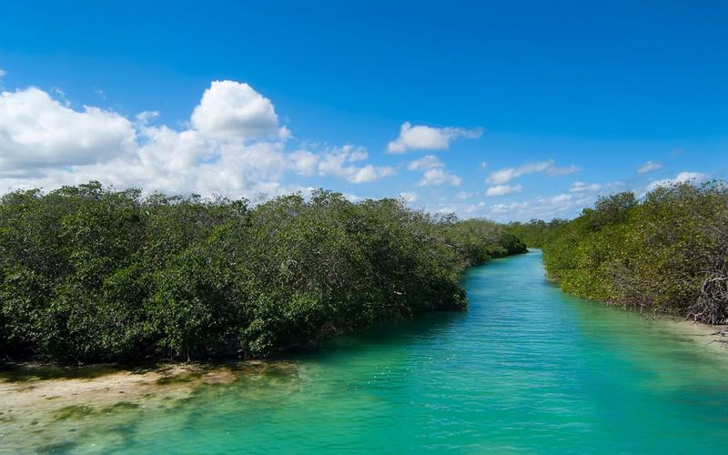 Reserva de la Biosfera de Sian Ka’an ¡Explora sus maravillas naturales!
