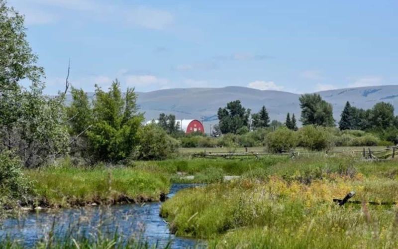 14 Senderos de exploración en Alabama para una escapada inolvidable