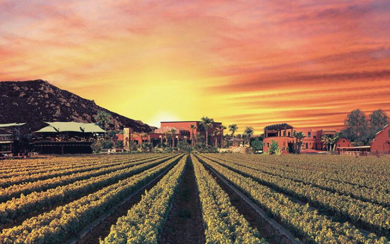 Valle de Guadalupe Región vinícola en Baja California, México