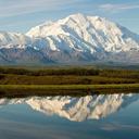 Viaje por carretera desde Anchorage hasta el Parque Nacional Denali