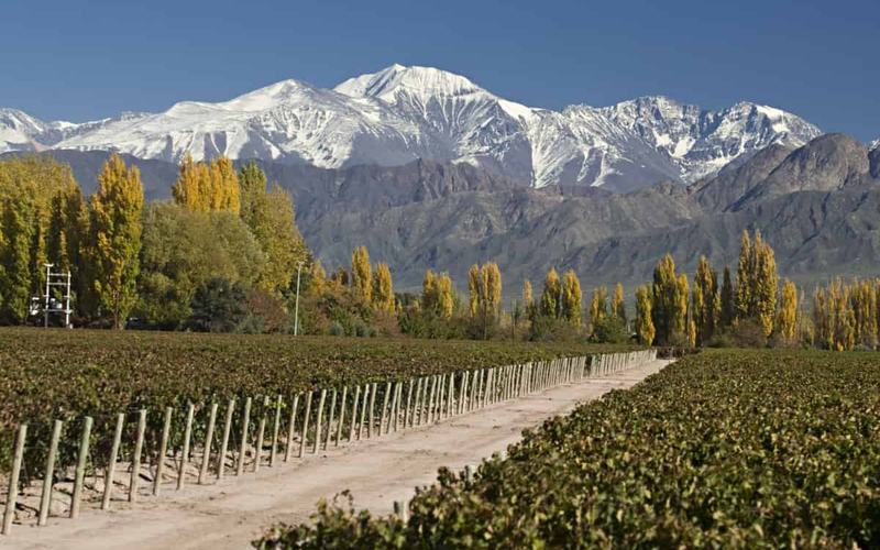 Visita Los Mejores Restaurantes en Mendoza, Argentina