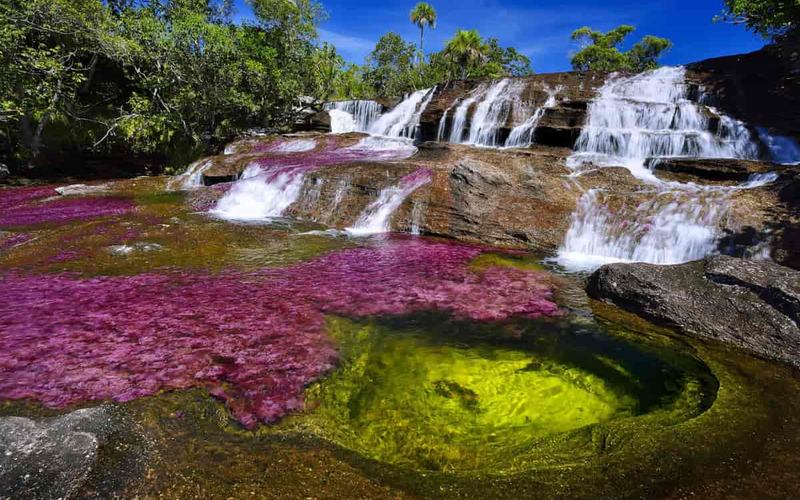 Visita el Maravilloso Río Caño Cristales ¡Un Arcoíris Líquido!