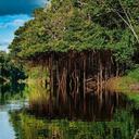 7 Increíbles aventuras en la selva amazónica de Perú