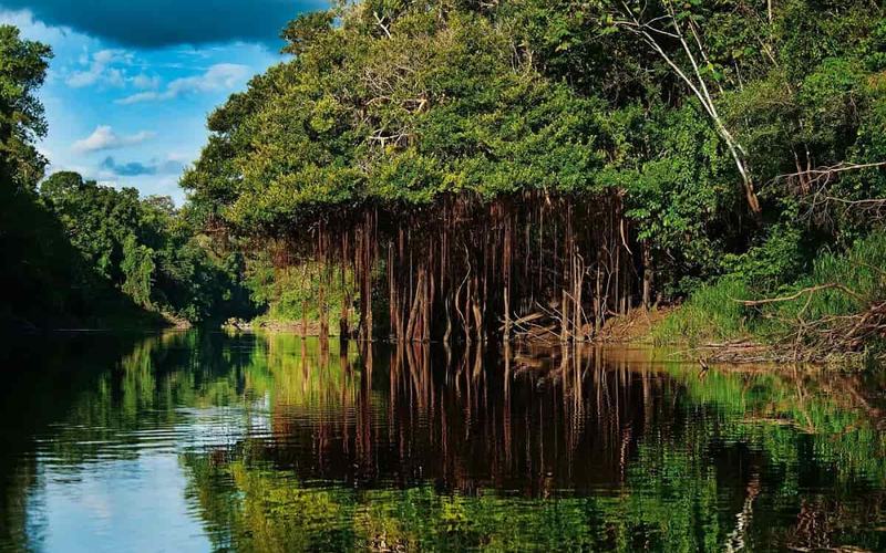 7 Increíbles aventuras en la selva amazónica de Perú