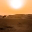 Conoce los 5 desiertos de máxima temperatura en el mundo