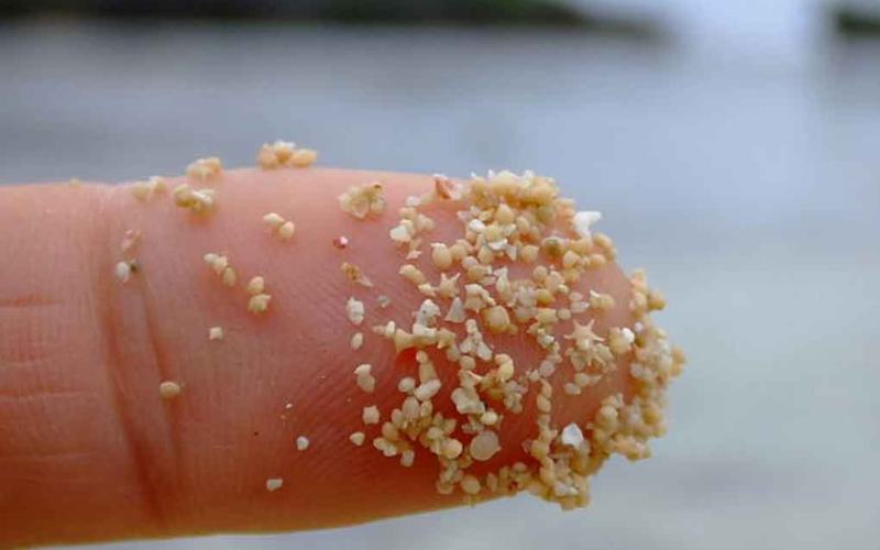 La verdad detrás de las playas de arena estelar de Japón
