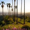 Los mejores lugares para practicar senderismo en Palm Springs