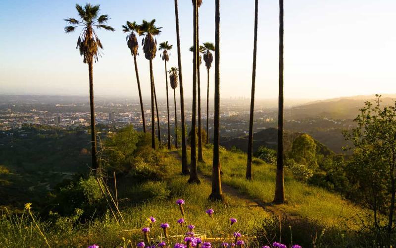 Los mejores lugares para practicar senderismo en Palm Springs
