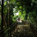 Las 4 mejores caminatas al aire libre en Singapur