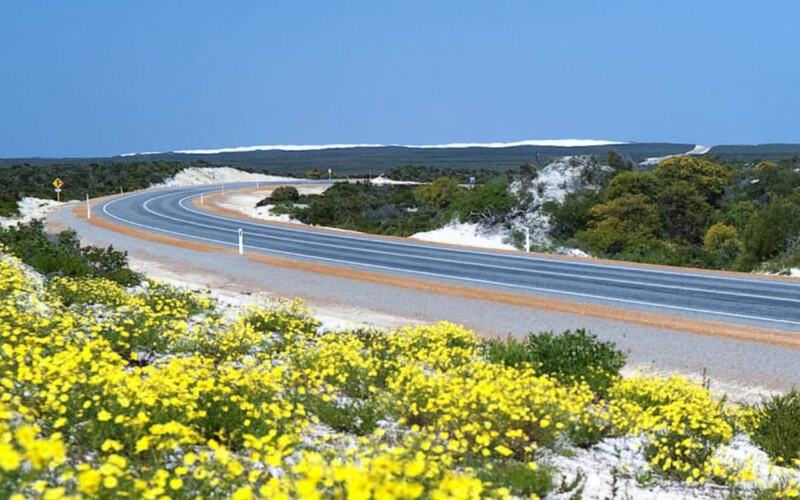 7 mejores lugares para disfrutar de las flores de primavera en Australia
