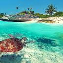 Lo Mejor que debes ver y hacer en la Riviera Maya