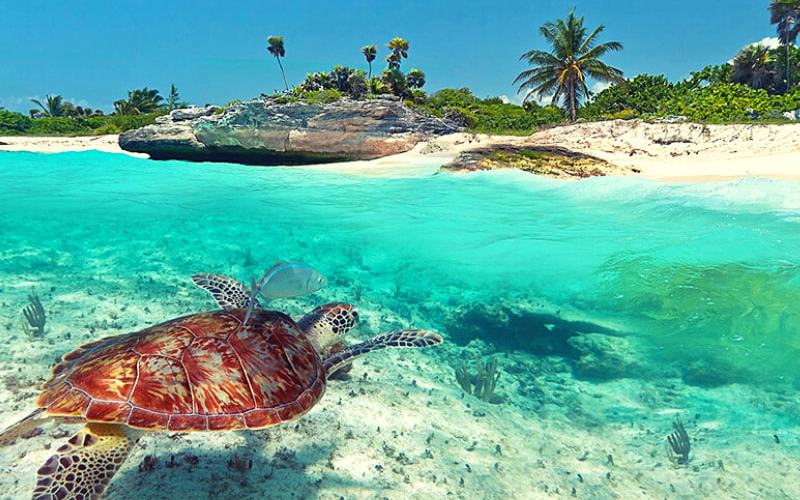 Lo Mejor que debes ver y hacer en la Riviera Maya