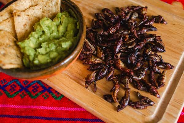 A que saben los Chapulines