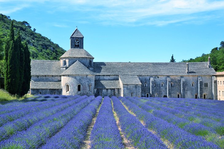 Abadía de Notre-Dame de Sénanque