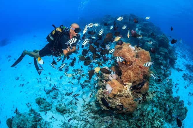 Actividades acuáticas-bora bora donde queda