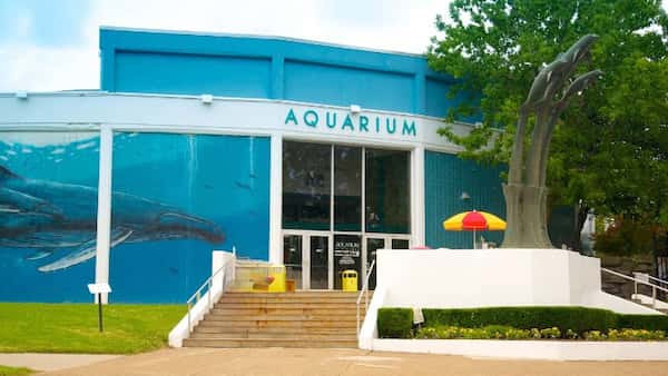 Acuario de Niágara
