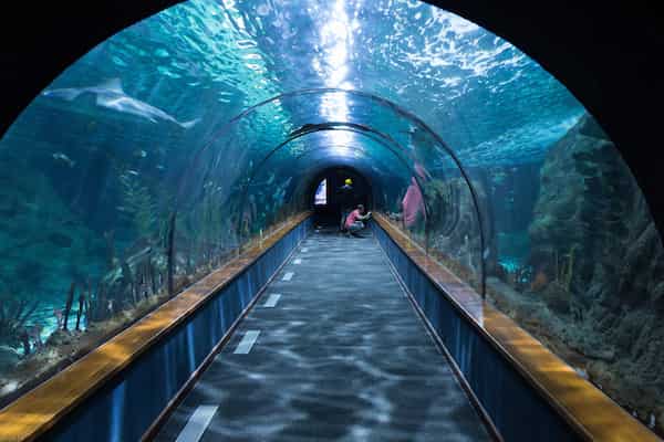 Acuario de Vancouver