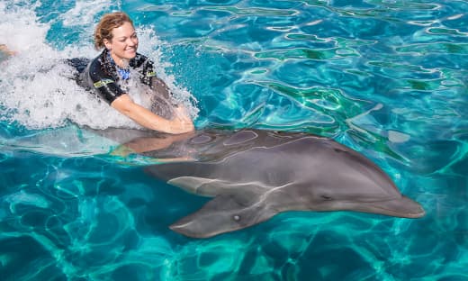 Acuario marino de Miami