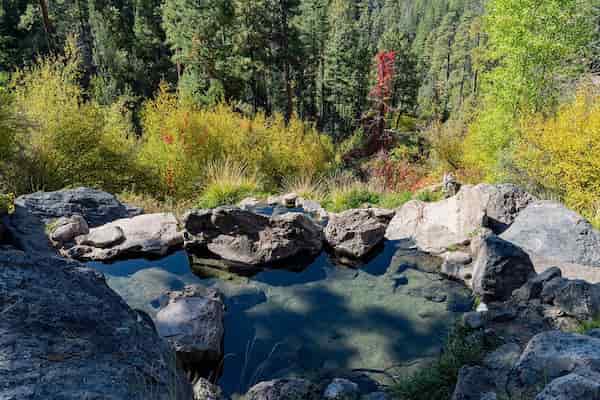 Aguas termales de Spence (aguas termales de McCauley)