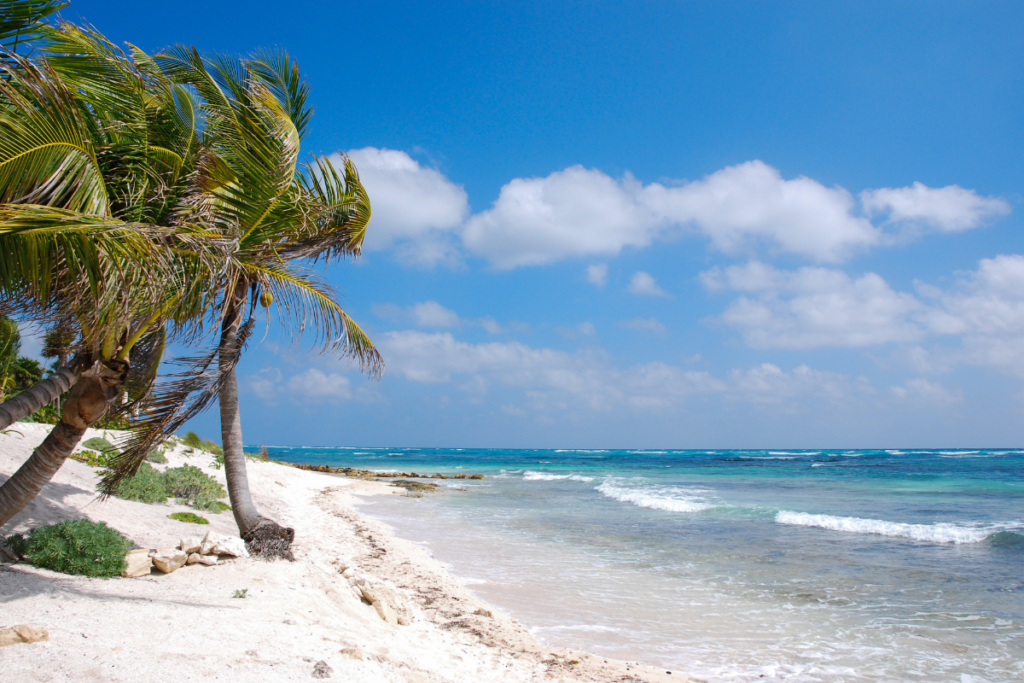 Akumal-Lugares turísticos en la Riviera Maya
