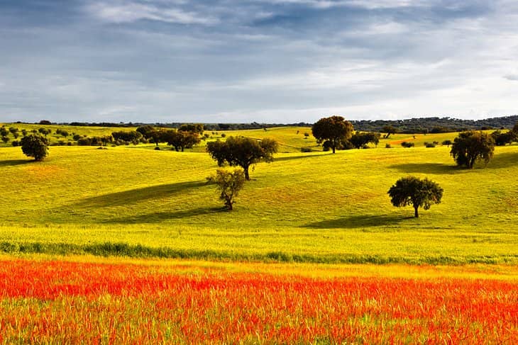 Alentejo a caballo