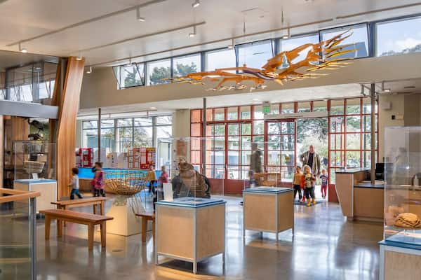 Aprenda sobre ciencia en el Museo Randall