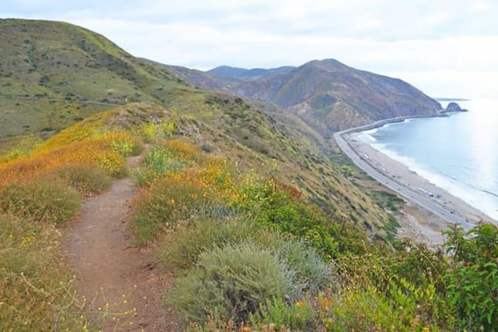 Área Recreativa Nacional de las Montañas de Santa Mónica
