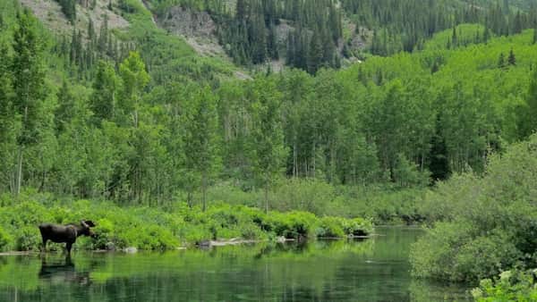 Área escénica de Maroon Bells